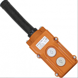 Пост кнопочный ПКТ-20 GB8-B101 на 2 кнопки IP54 Ruichi