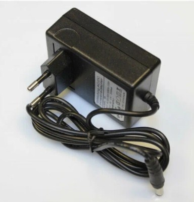 Источник питания 12V 1А для гирлянды "Роса" LED-DD фото 1